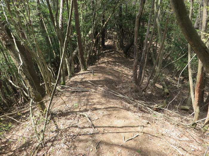 篠山市小立/清滝山～篠山市上筱見/新田山を散策