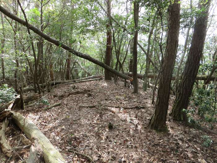 篠山市小立/清滝山～篠山市上筱見/新田山を散策