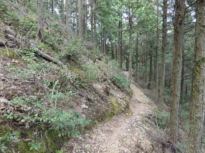 篠山市小立/清滝山～篠山市上筱見/新田山を散策