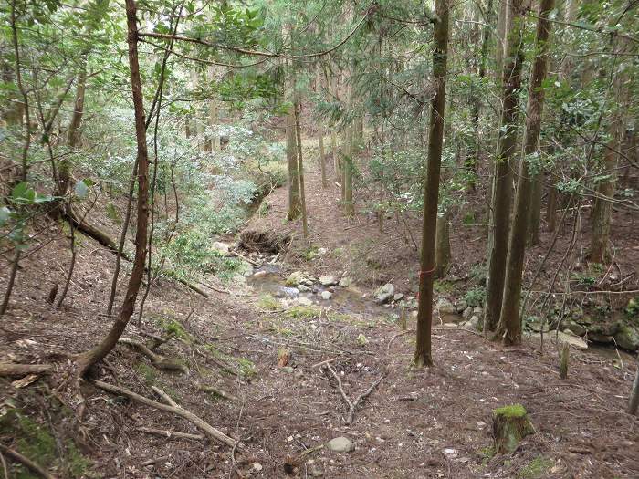 篠山市小立/清滝山～篠山市上筱見/新田山を散策