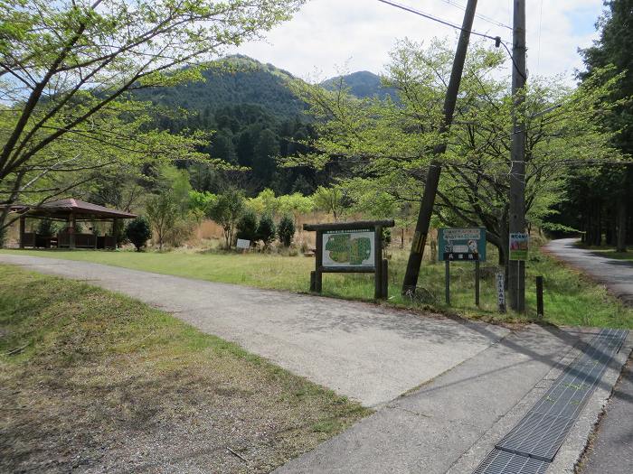 丹波市山南町/首切地蔵・高山～阿草/猿藪・消防山を散策