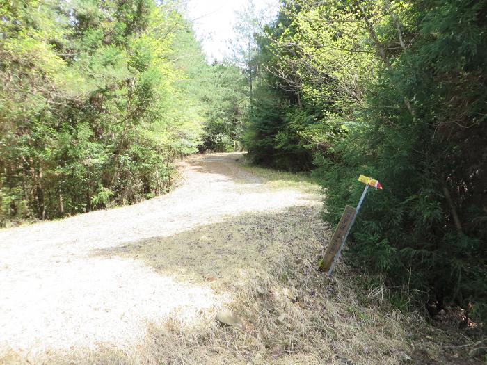 丹波市山南町/首切地蔵・高山～阿草/猿藪・消防山を散策