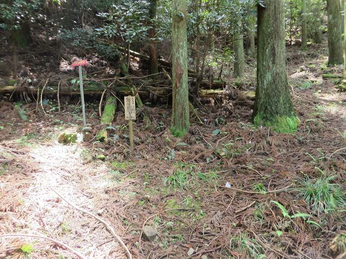 丹波市山南町/首切地蔵・高山～阿草/猿藪・消防山を散策