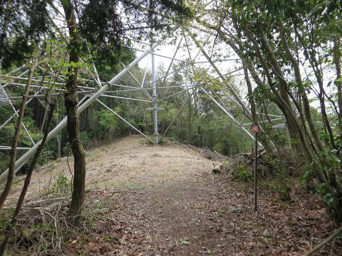 丹波市山南町/首切地蔵・高山～阿草/猿藪・消防山を散策