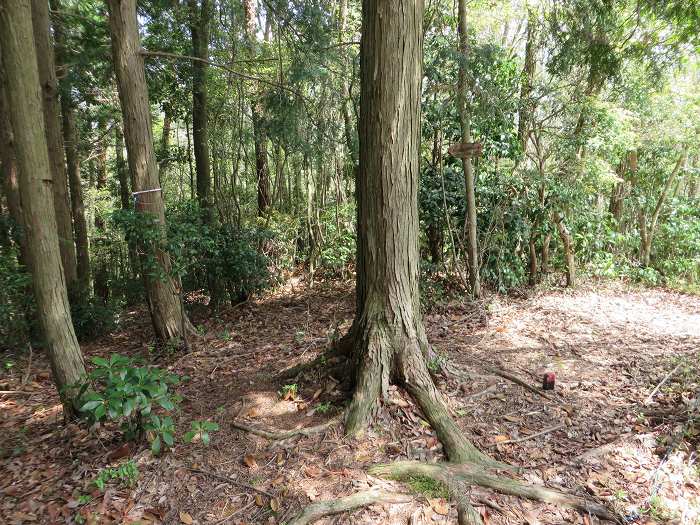 丹波市山南町/首切地蔵・高山～阿草/猿藪・消防山を散策