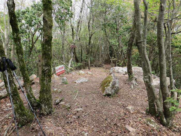 丹波市山南町/首切地蔵・高山～阿草/猿藪・消防山を散策