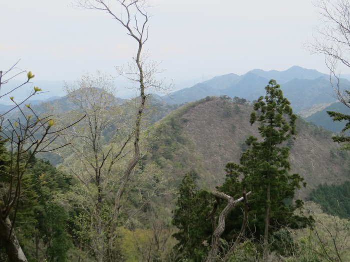 丹波市山南町/首切地蔵・高山～阿草/猿藪・消防山を散策