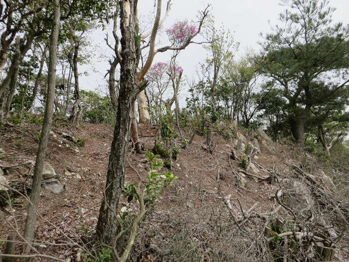 丹波市山南町/首切地蔵・高山～阿草/猿藪・消防山を散策