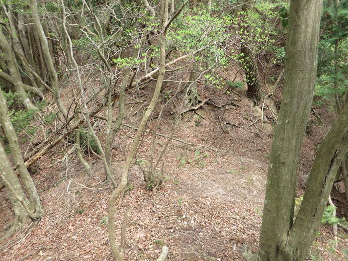 丹波市山南町/首切地蔵・高山～阿草/猿藪・消防山を散策