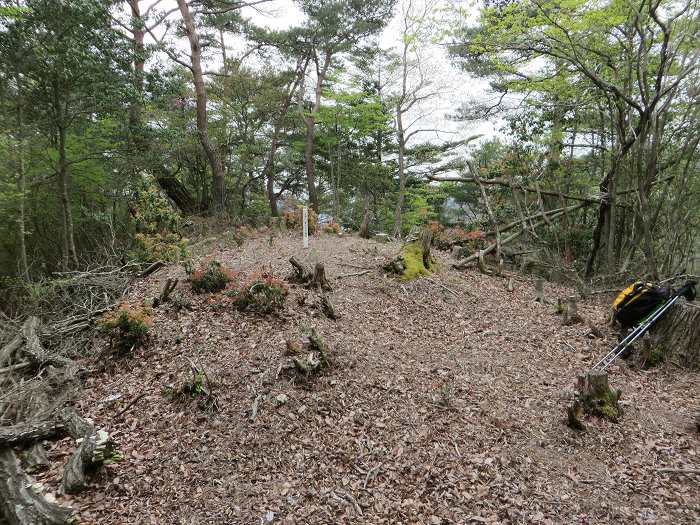 丹波市山南町/首切地蔵・高山～阿草/猿藪・消防山を散策