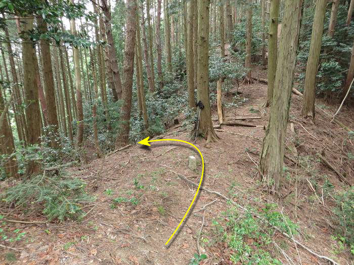 丹波市山南町/首切地蔵・高山～阿草/猿藪・消防山を散策