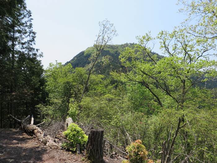 篠山市追入/鐘ヶ坂隧道～金山～馬頭を散策