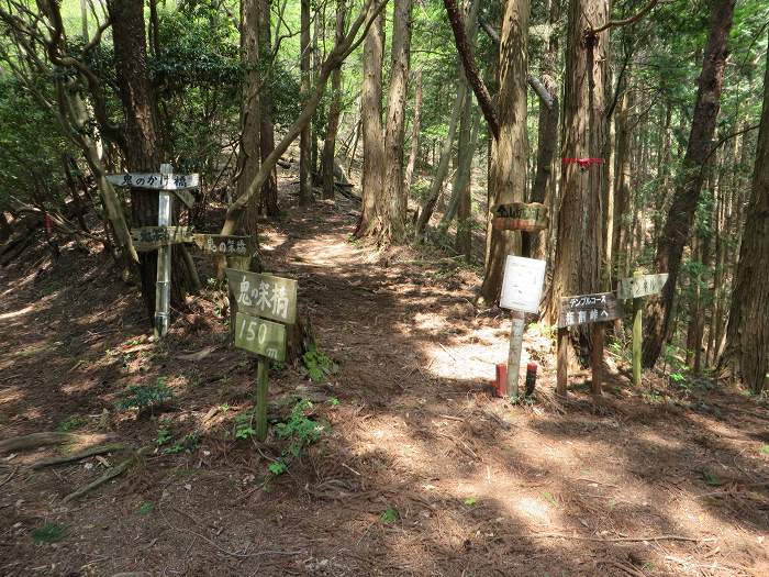 篠山市追入/鐘ヶ坂隧道～金山～馬頭を散策