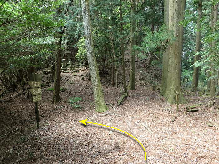 篠山市追入/鐘ヶ坂隧道～金山～馬頭を散策