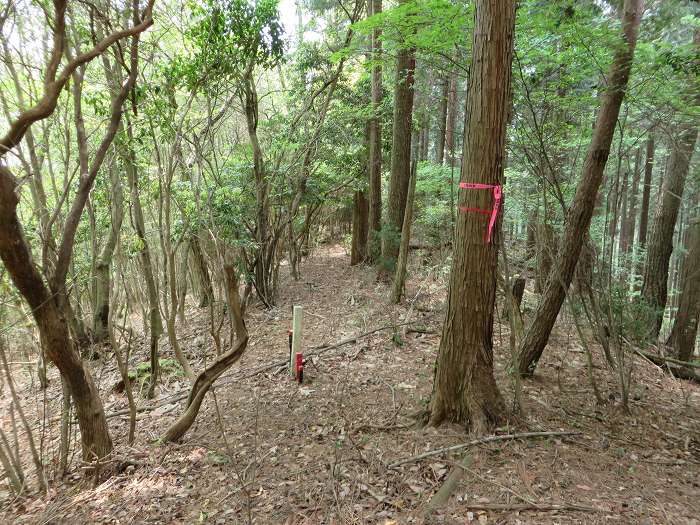 篠山市追入/鐘ヶ坂隧道～金山～馬頭を散策