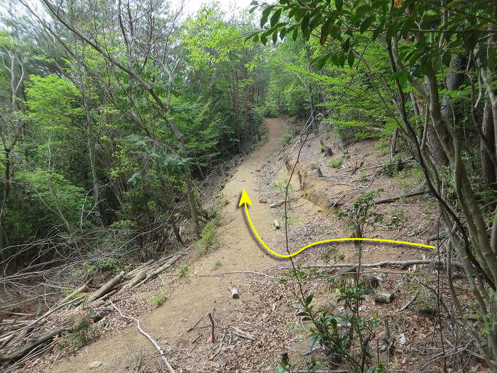 篠山市追入/鐘ヶ坂隧道～金山～馬頭を散策