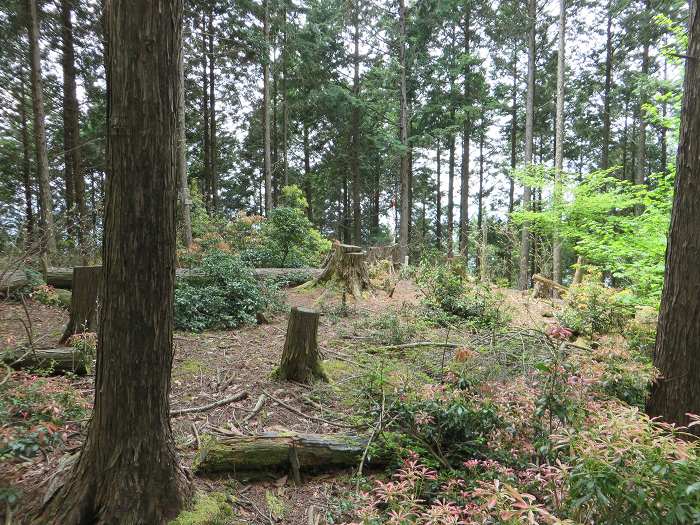 篠山市追入/鐘ヶ坂隧道～金山～馬頭を散策