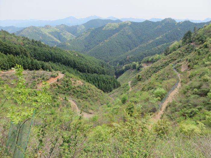 篠山市追入/鐘ヶ坂隧道～金山～馬頭を散策