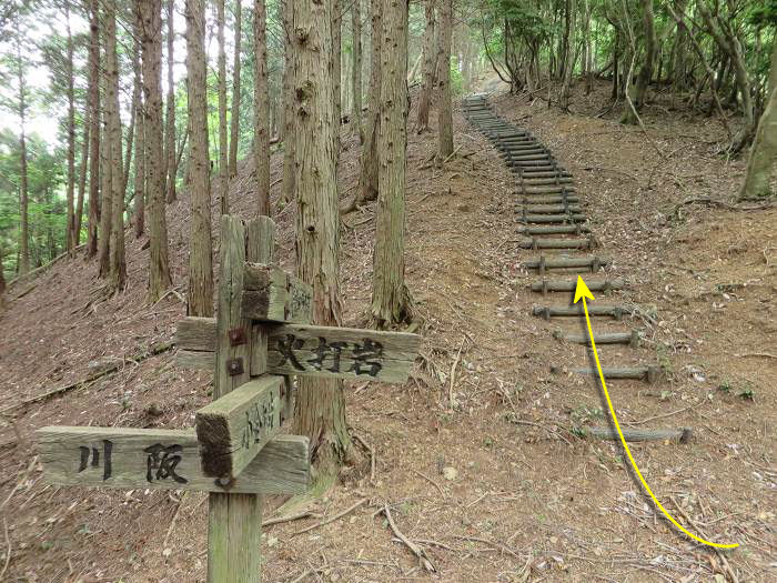 篠山市上筱見/峠山を散策