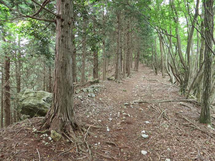 篠山市上筱見/峠山を散策