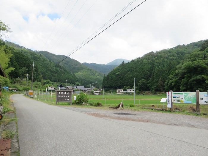 篠山市川阪/高ツク山を散策