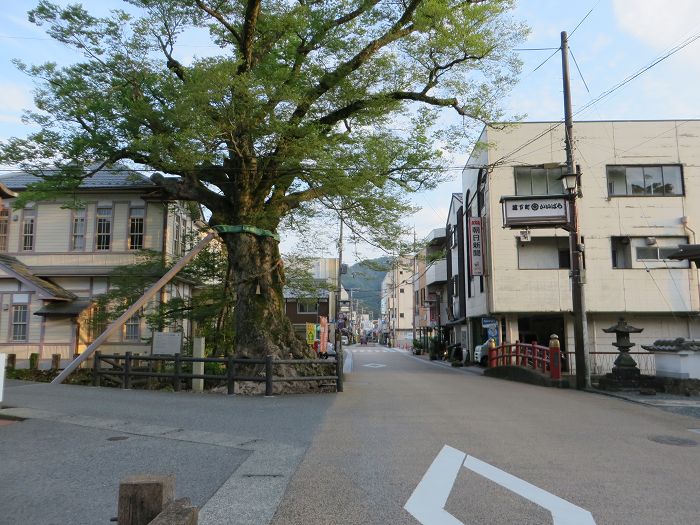 丹波市/大杉ダム～朝来市/多々良木ダム～生野市/生野ダム・黒川ダムをバイク走り