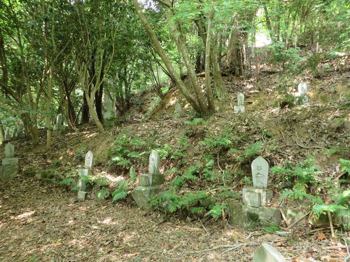 南丹市/九品寺・園部城址～亀岡市/亀山城址・穴太寺をバイク走り