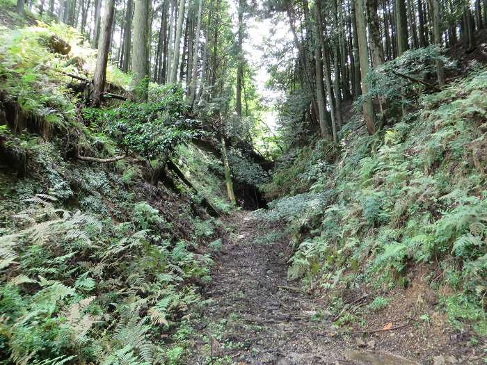 丹波市青垣町遠阪/千原峠までバイク走り