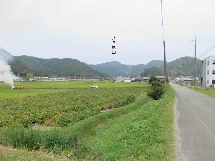 篠山市藤坂/太平山を散策