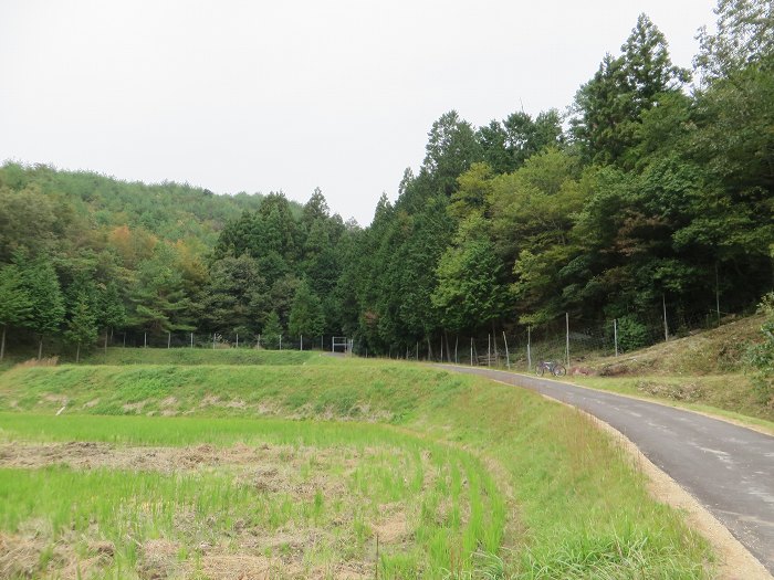 篠山市藤坂/太平山を散策