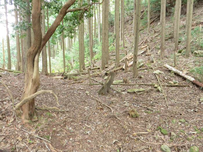 篠山市藤坂/太平山を散策