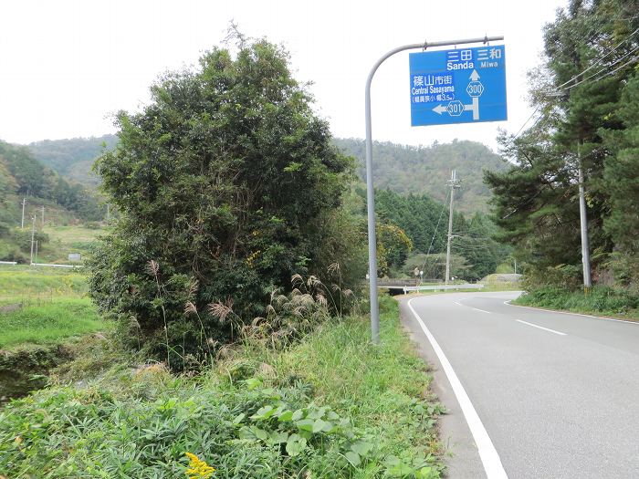 篠山市藤坂/太平山を散策