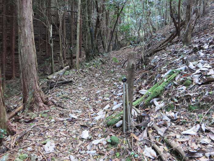 篠山市草ノ上/燈明寺山を散策