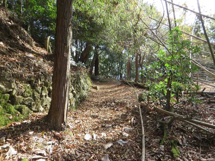 篠山市草ノ上/燈明寺山を散策