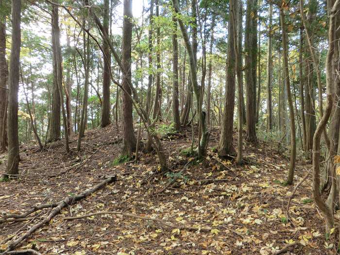 篠山市小枕/四季山を散策