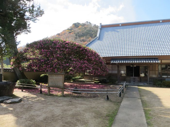 篠山市小枕/四季山を散策