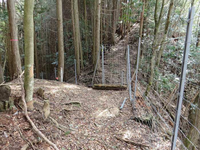 篠山市大山宮/横棟山を散策