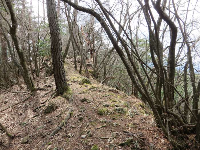 篠山市大山宮/横棟山を散策