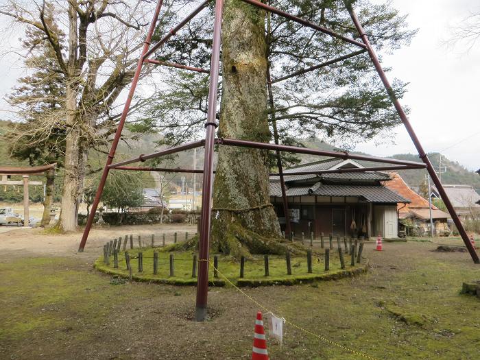 篠山市大山宮/横棟山を散策