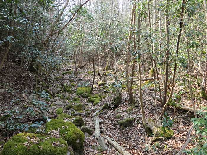 篠山市今田町下小野原/西寺山を散策