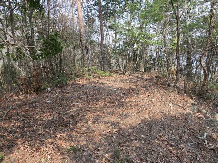 篠山市今田町下小野原/西寺山を散策