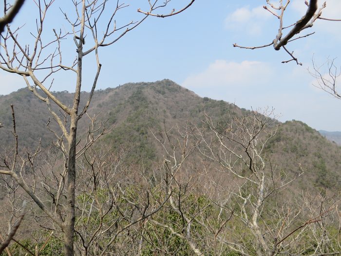 篠山市今田町下小野原/西寺山を散策