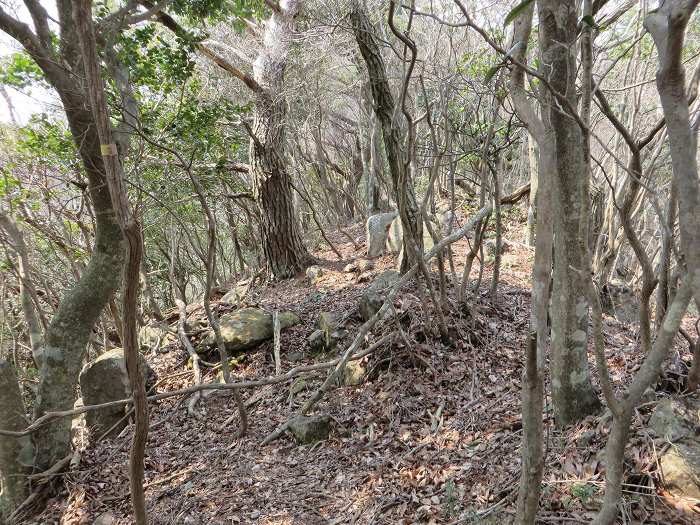 篠山市今田町下小野原/西寺山を散策