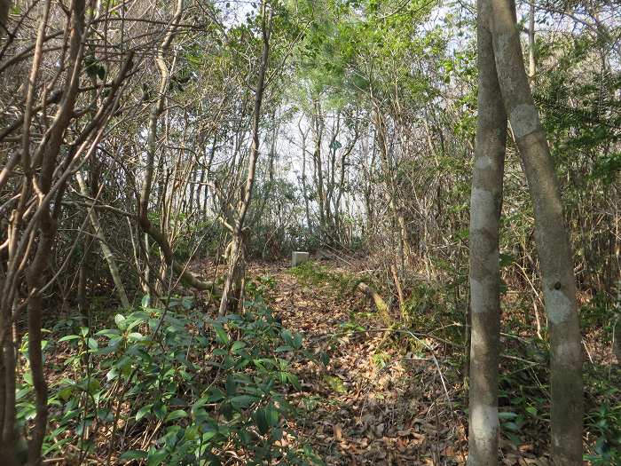 篠山市今田町下小野原/西寺山を散策