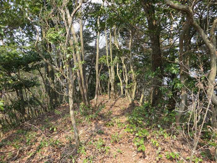 篠山市今田町下小野原/西寺山を散策