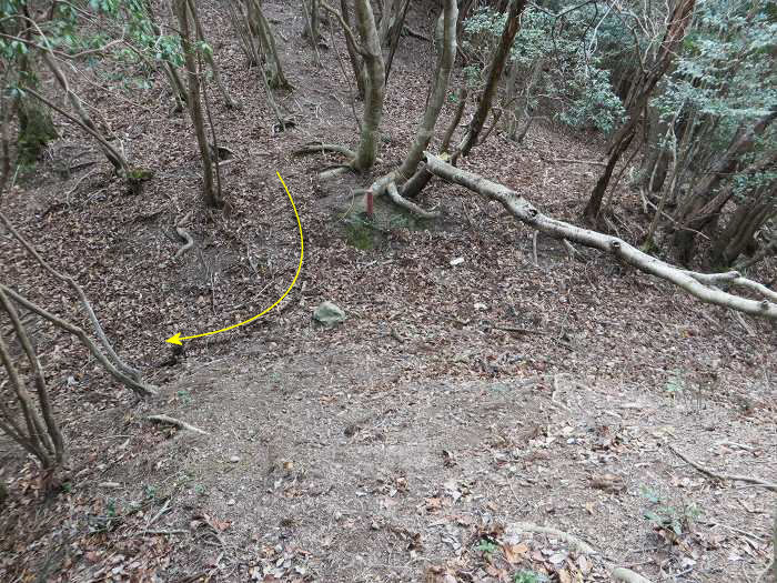 篠山市今田町下小野原/西寺山を散策