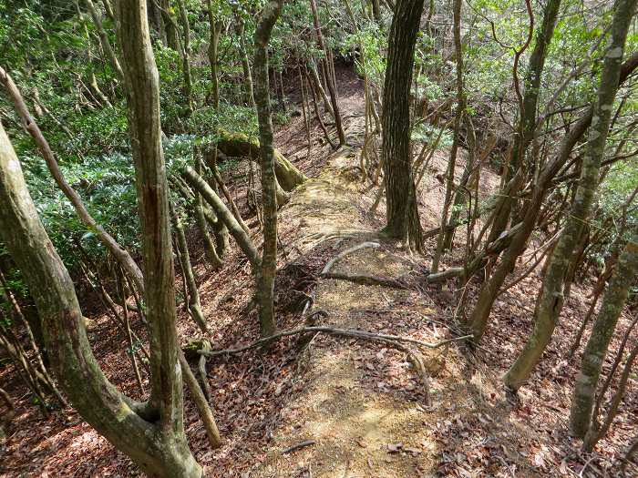 篠山市小野奥谷/仁入道山を散策