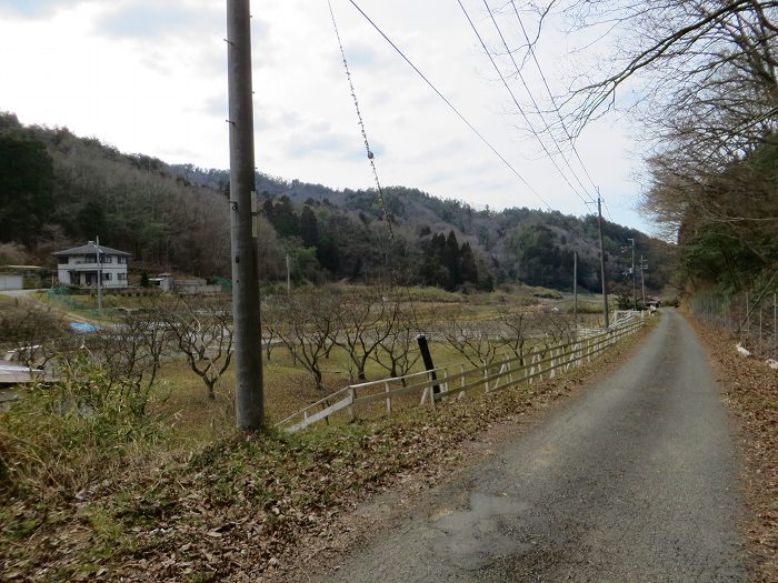 篠山市小野奥谷/仁入道山を散策