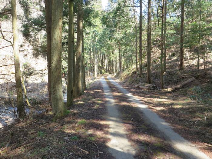 篠山市遠方/奥山を散策