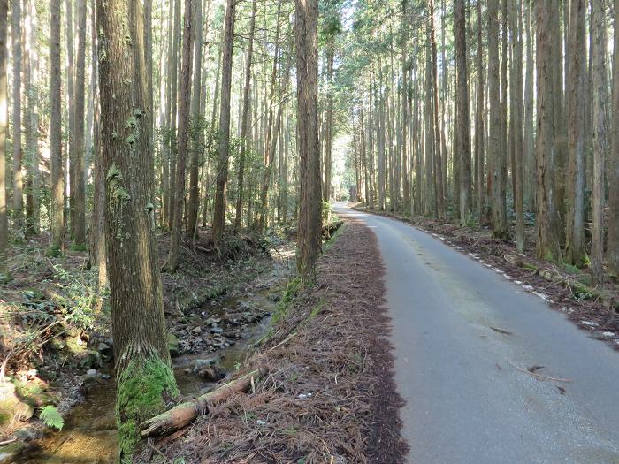 篠山市遠方/奥山を散策